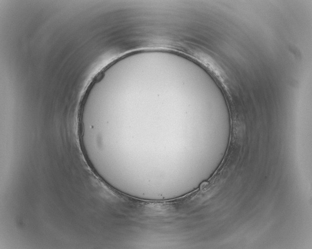 X0000115651480200912081115