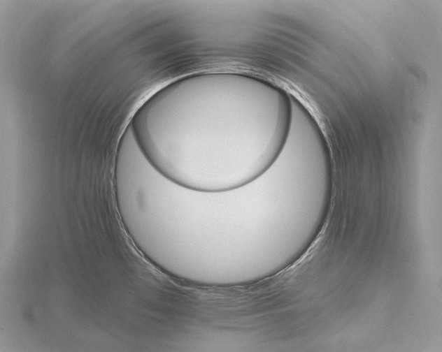 X0000115651481200912081115