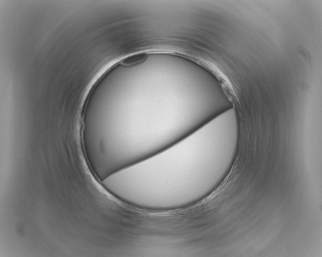 X0000115651484200912081114