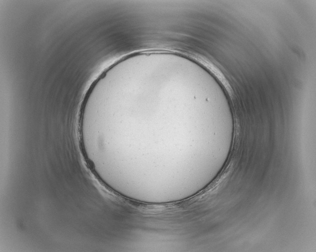 X0000115651485200912081114