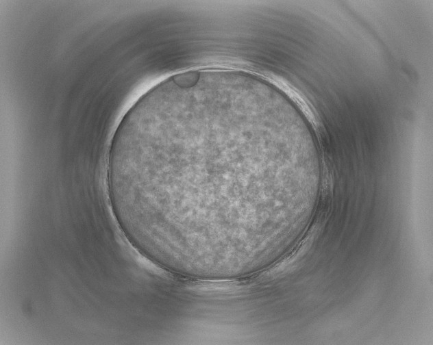 X0000115651486200912081114