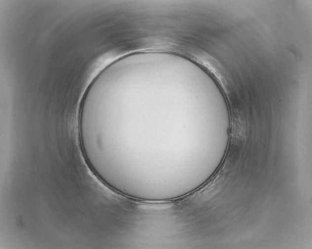 X0000115651487200912081114