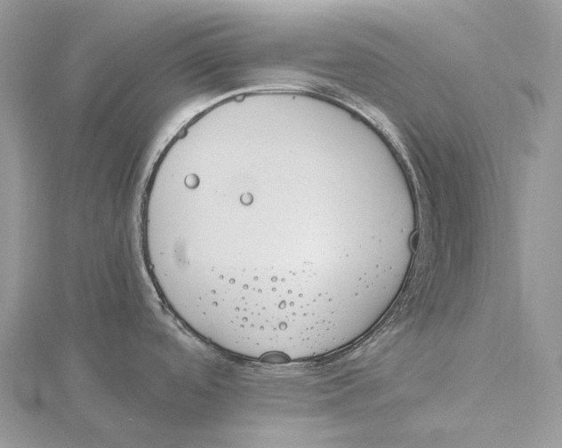 X0000115651488200912081114