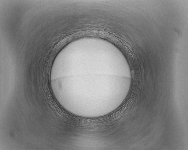 X0000115651489200912081114