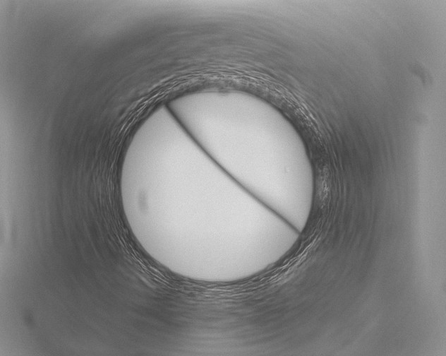 X0000115651490200912081114