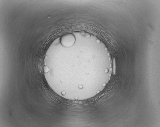 X0000115651491200912081114