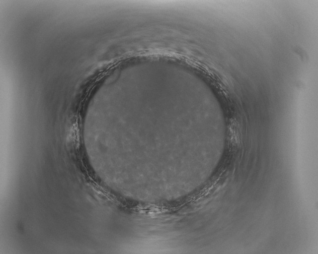 X0000115651493200912081114