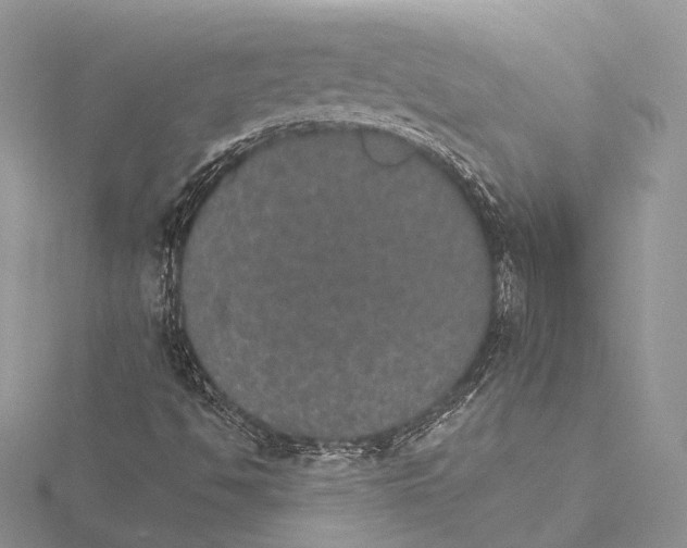 X0000115651494200912081114