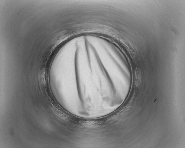 X0000115651497200912081114