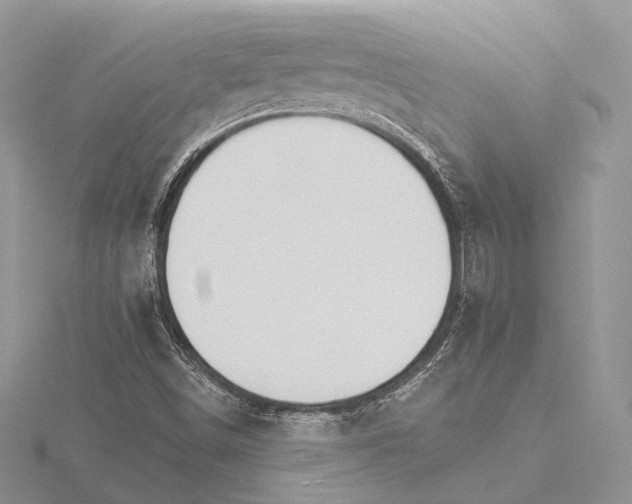 X0000115651498200912081114