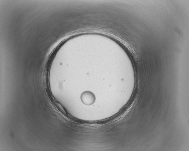 X0000115651502200912081114