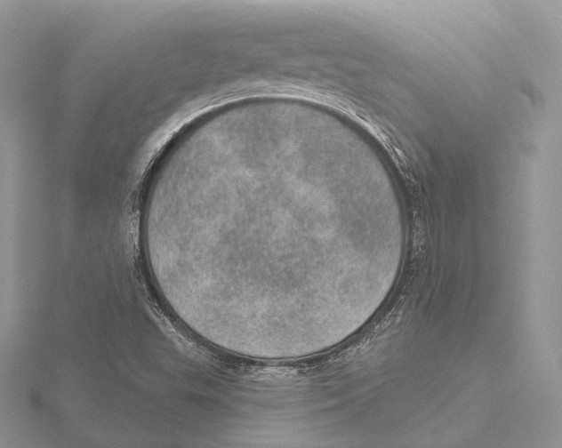 X0000115651503200912081114