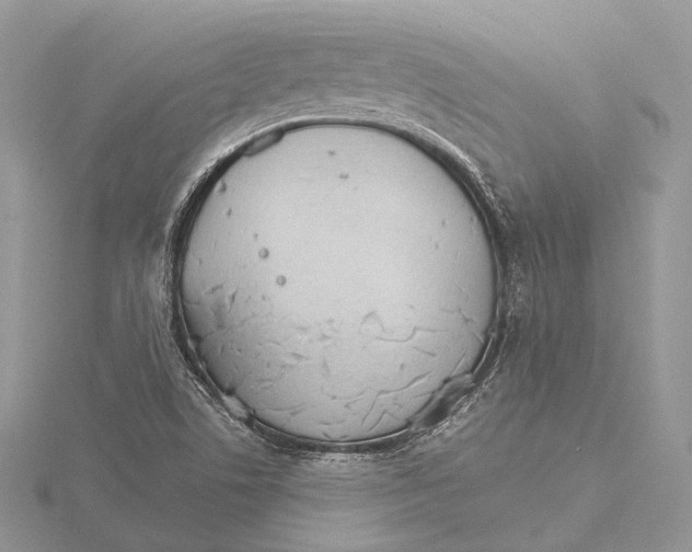 X0000115651506200912081114