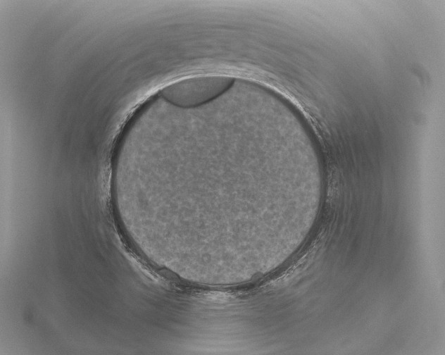 X0000115651507200912081114