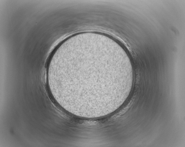 X0000115651509200912081114