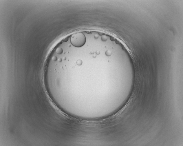 X0000115651511200912081114