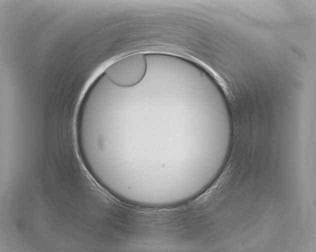 X0000115651514200912081114