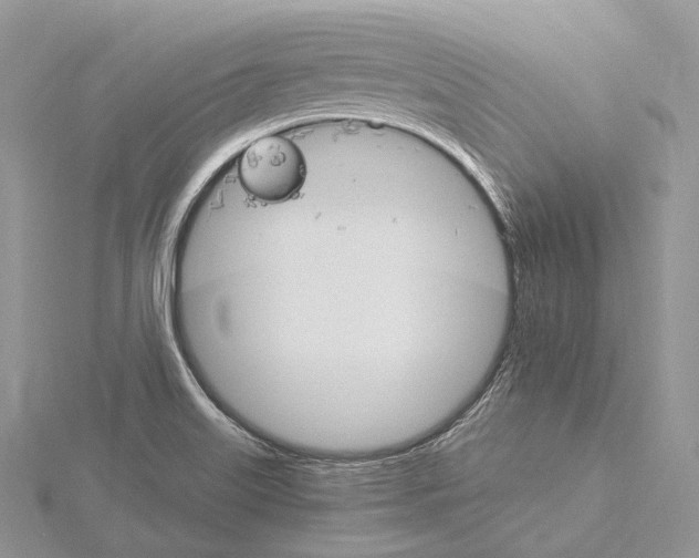 X0000115651515200912081114