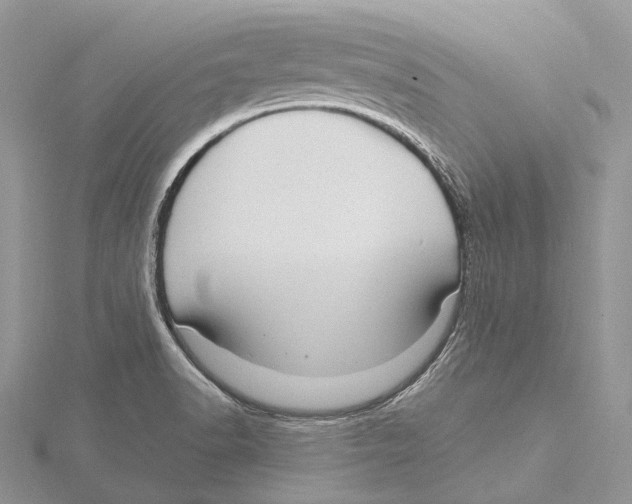 X0000115651518200912081114