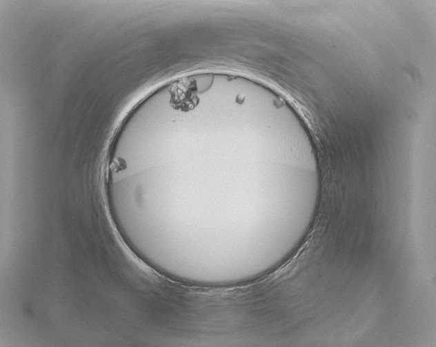 X0000115651519200912081114