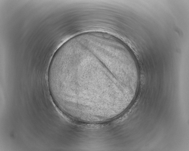 X0000115651521200912081114