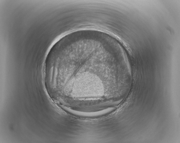 X0000115651522200912081114