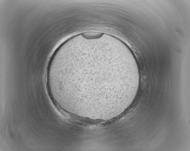 X0000115651523200912081114