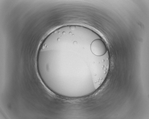 X0000115651525200912081114