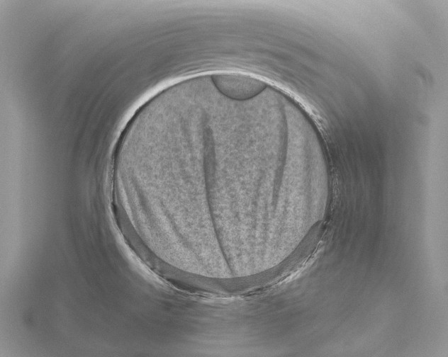 X0000115651526200912081114