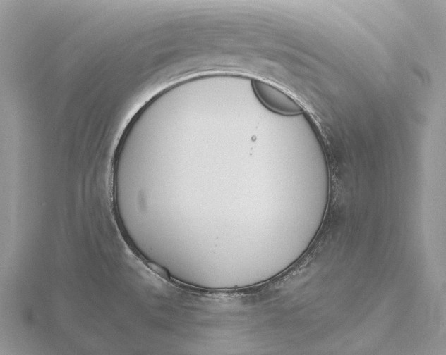 X0000115651527200912081114