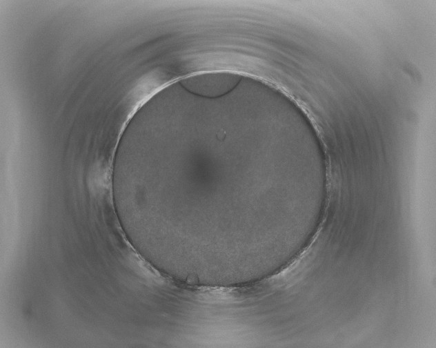 X0000115651529200912081114