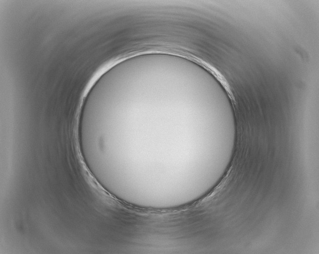 X0000115651530200912081114