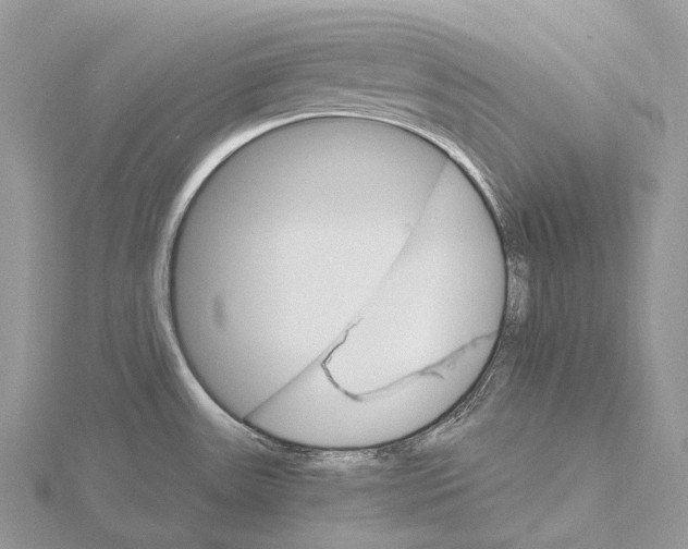 X0000115651531200912081114