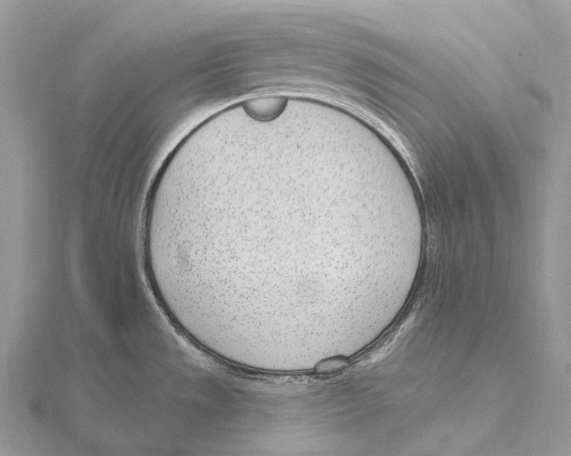 X0000115651533200912081114