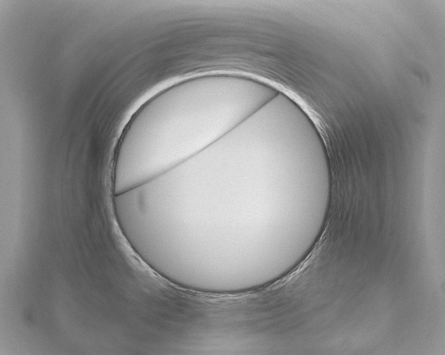 X0000115651534200912081114