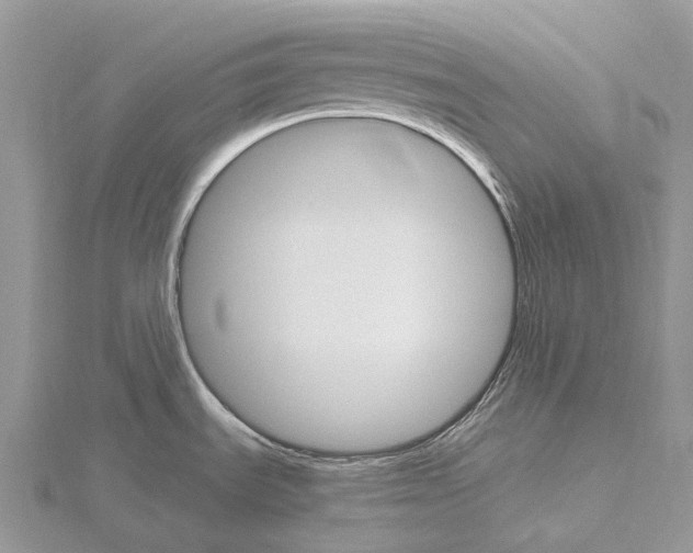 X0000115651535200912081114