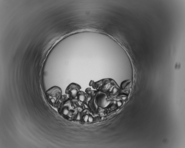 X0000115650001200912221341