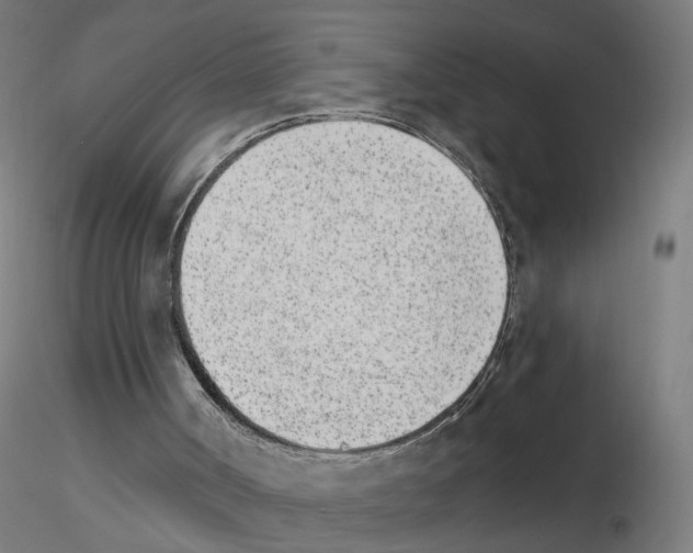 X0000115650002200912221341