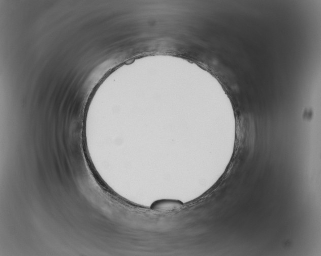 X0000115650003200912221341