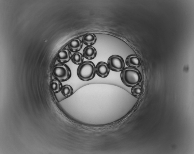 X0000115650005200912221341