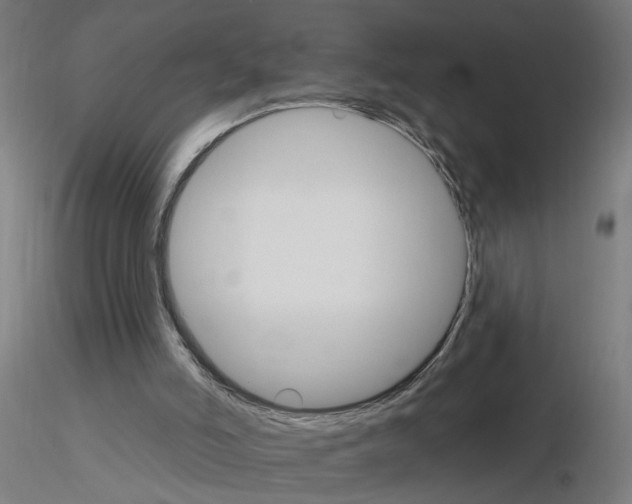X0000115650006200912221341