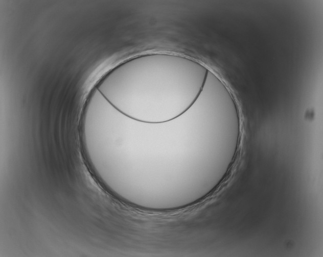 X0000115650007200912221341