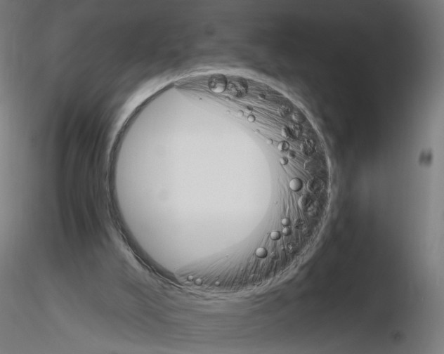 X0000115650008200912221341