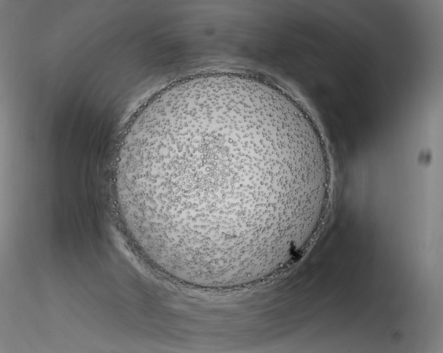 X0000115650010200912221341