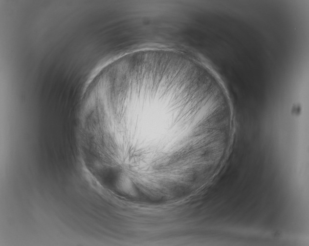 X0000115650011200912221340