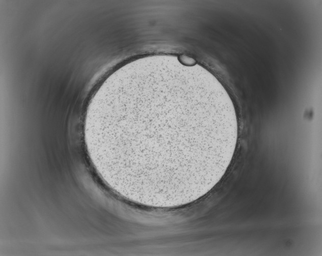 X0000115650012200912221340