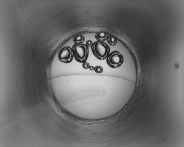X0000115650013200912221340