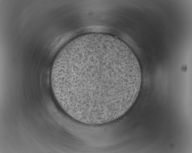 X0000115650014200912221340