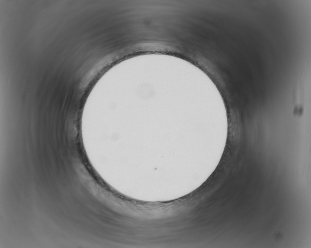 X0000115650015200912221340