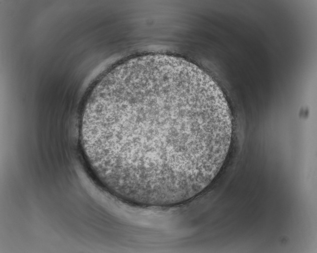 X0000115650016200912221340